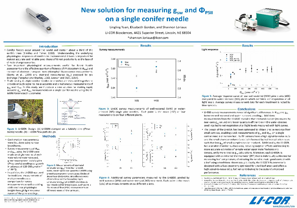 New solution for measuring gsw and ΦPSII on a single conifer needle